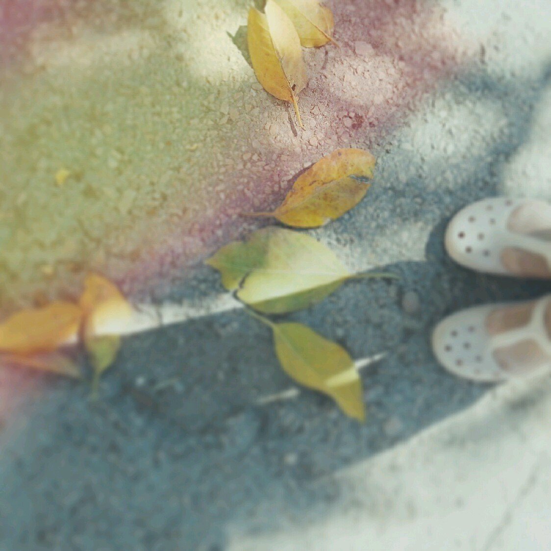 was a javelin throw player & a ballerina, lycéenne et fière d'être, adore photography and painting ♥  Junior'¹³. #Cancerian