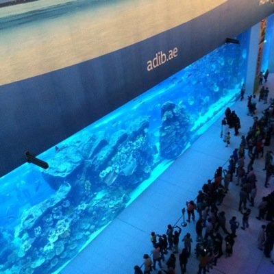 jubedbashir's profile picture. welcome to best city in the world❤️❤️❤️❤️London🙏