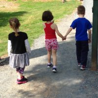 Susan O'Farrell (@susanofarrell) 's Twitter Profile