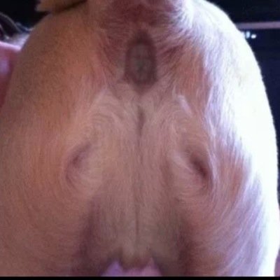 Repalias's profile picture. Just trying to find my way out in hope when I do, I'm not alone. #LiveAndLetLive #NYC #CT #NoLookingBack #MyPark