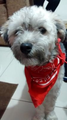 meu nome é Fredy sou directioner porque sim, e cachorro mais gostoso do mundo
bjos de luz