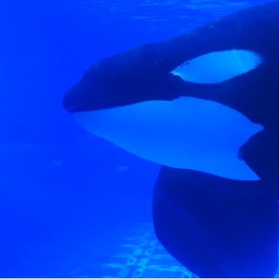 TamraDVance's profile picture. 