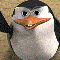 skippermadgaska's profile picture. famus 4 madagaska. mayn bois rico privat n kwalski