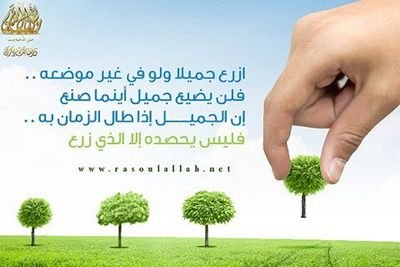 بالناس لي أنصاف و أضداد و أقران .... وكلٍّ يفسرني على قد عرفه.
