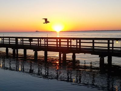 kmleal1's profile picture. 