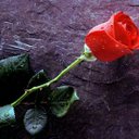 عبدالفتاح يونس احميد (@0092469197) Twitter