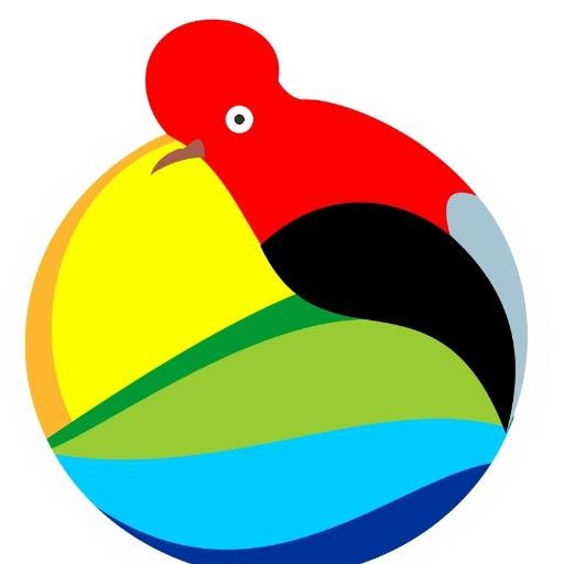 fconservarte's profile picture. Una organización del Putumayo que trabaja por la conservación de la biodiversidad y la construcción de tejido social