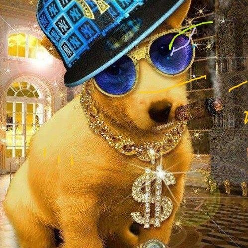 donovancurtis4's profile picture. 