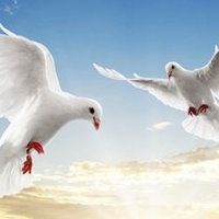 산마루 (@kimveritas12) 's Twitter Profile