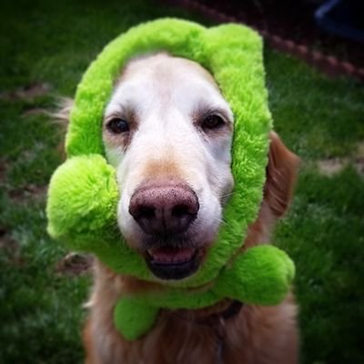 bouldermimi's profile picture. Tweets for the Tweet