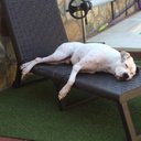 Sergio Navas - @Sergio_NAsenjo - Twitter