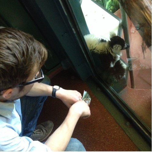 osborn_ge's profile picture. 