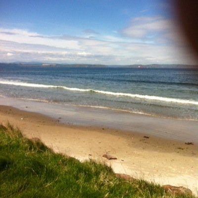 nasusrobertson's profile picture. 