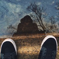Linus Stubbs (@linusstubbs) 's Twitter Profile