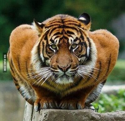 DwacsClay's profile picture. Success is never final and failure never fatal. It's courage that counts.