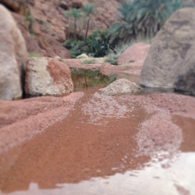 البنات الخاص ممنوع بدون ازعاج رجائن