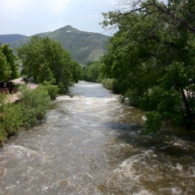 CynthiaMenas's profile picture. 