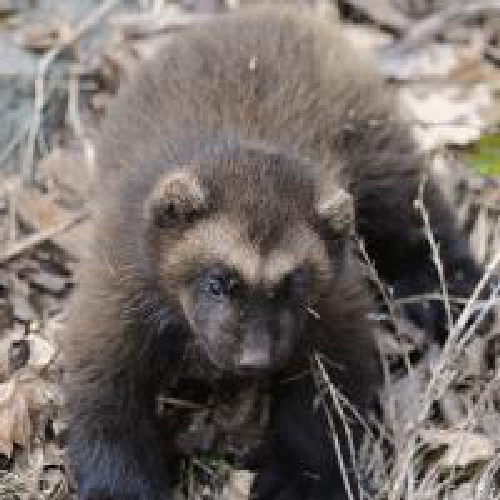 tilfithaka's profile picture. Ставьте перед собой большие цели, ведь в них легче попасть. /  Фридрих Шиллер