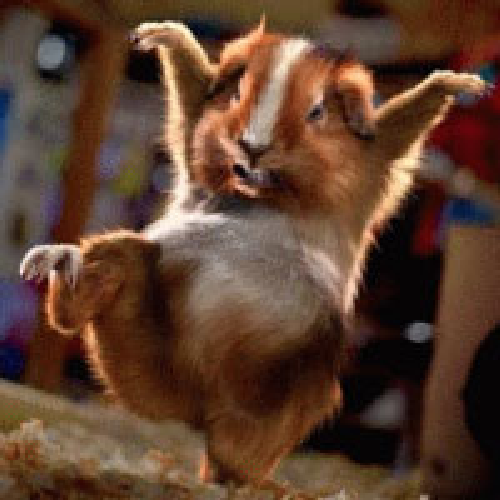 acargade's profile picture. Не тратьте свою жизнь на то, чтобы играть роль, которую для вас выбрали другие. © Пауло Коэльо «Книга воина света» #фолловинг #FollowMe #взаимно