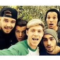 Being a Directioner is like getting a tattoo. It hurts sometimes, but it will always stay forever.4 british boys stole my heart. An 1 irish boy ate it...