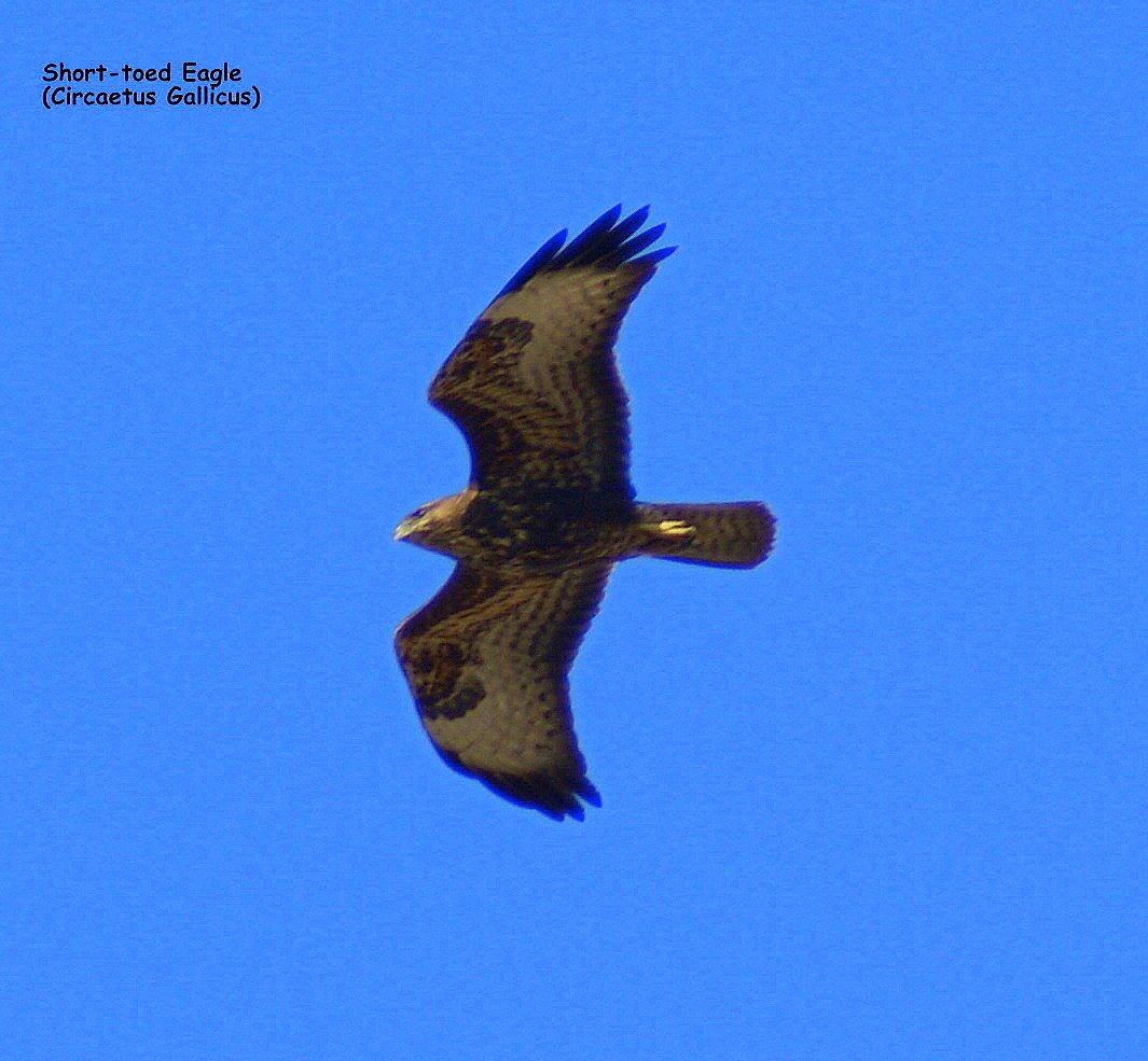 AndrewBackman2's profile picture. 