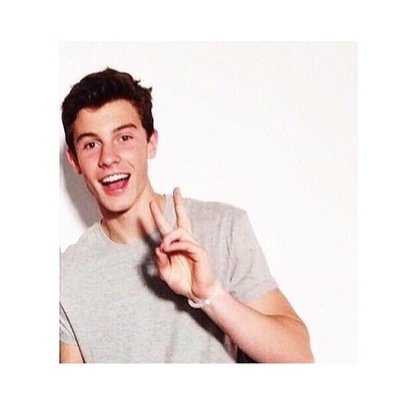 You are on shawns timeline CONGRATS- @MendesNudes