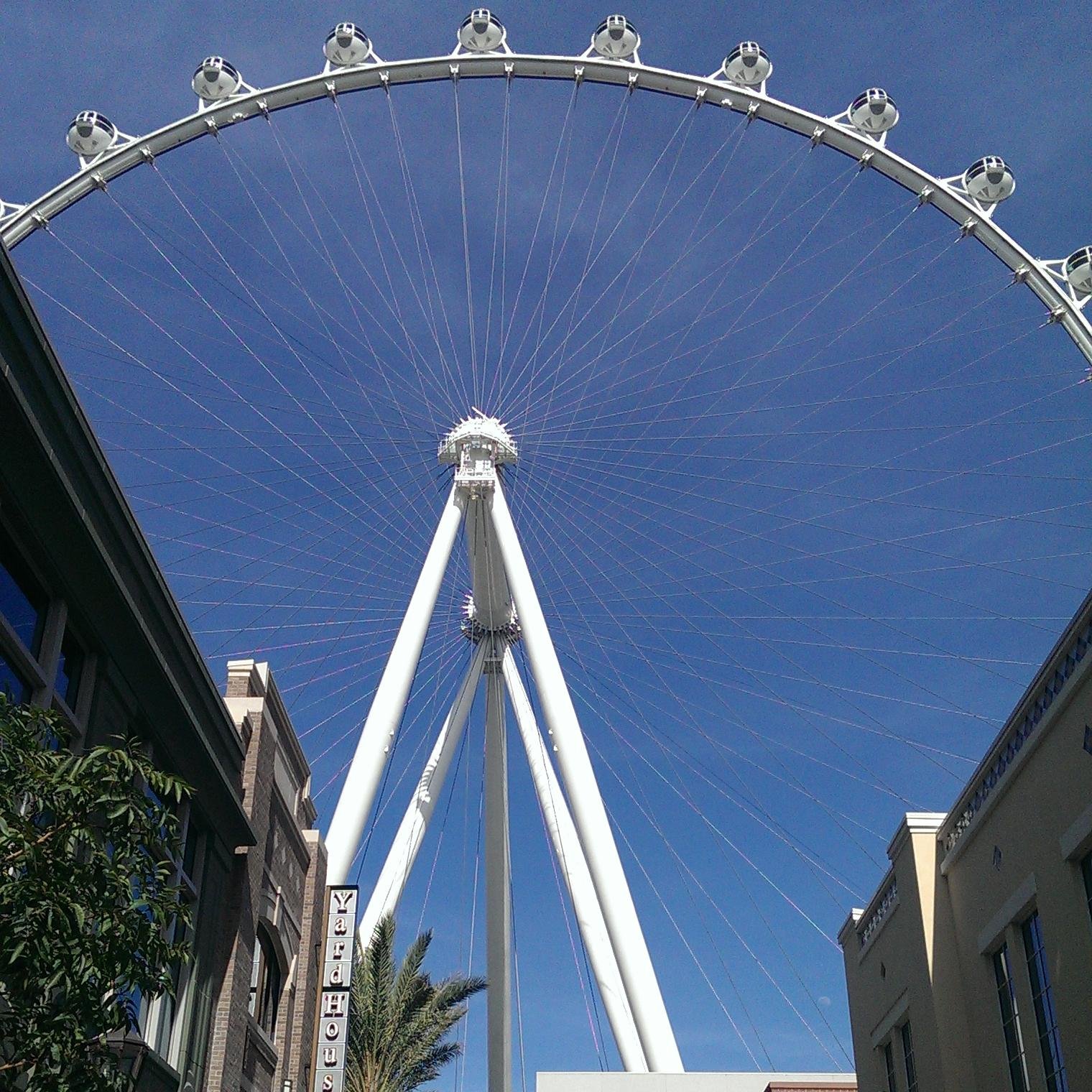 Miranda_Renae1's profile picture. 