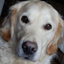 Michelle kitchen - @Misskitchen69 - Twitter