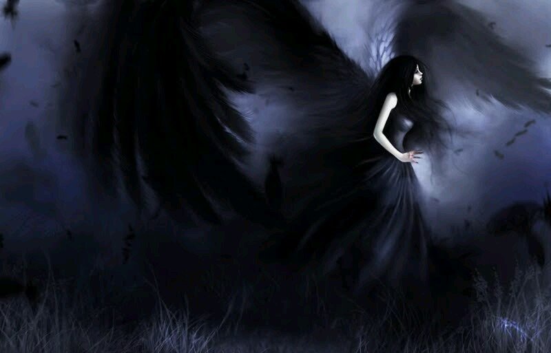 I am Angelica, 19. #Lover ☆ I fight for what I love ☆ Promise you wont leave me ☆ Some call Me an Angel sent to watch over ☆ ||#RP||#DARP||#SkyrimRP||#MVRP||