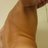 FelixCamis's profile image