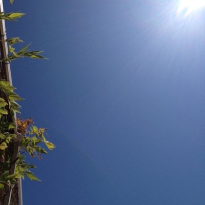 JornCortoos's profile picture. Relationship manager @ Colt Technology Services, dedicated dad of two, addicted gastronomist, https://t.co/NFByLTDxg8 & Afflibiker and much more