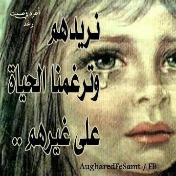 دراسات عليا  (احب الهدوء ) 🌹🌹🌹اشكى الواله   واشكى قلة النسيان  واشكى قل الوفاء     واشكى ناس اهدتنى الخذلان🌺🌺🌺