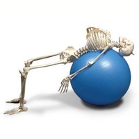 Phil Mack (@physioinsport) 's Twitter Profile