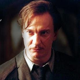 «La fuerza de tus convicciones determina tu éxito, no el número de tus seguidores.»
—Remus Lupin #HP