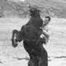 Johan van Poelgeest (@opamisterc) Twitter profile photo