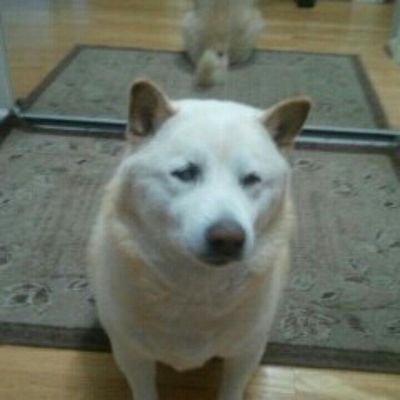 MarkusTheKarkus's profile picture. 