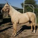 celso cruz zamora - @zamora_celso - Twitter