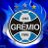 24horasdegremio's profile image