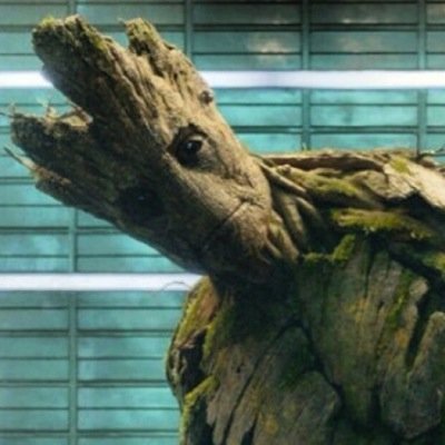 I am Groot. (Not affiliated with Marvel)