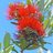 AucklandStyle's profile image