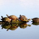 Glenn Smith - @pfglennsmith - Twitter