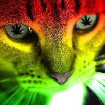 setequart's profile picture. 