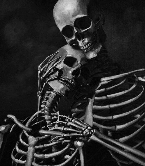 antoonnel's profile picture. 