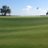 OSHSgolfcoach's profile image