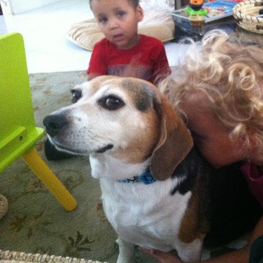 We're working to END Cetacean captivity. We are ruining the Oceans!  EmptyTheTanks For Roxy, Our Beautiful Beagle who Died of Cancer. We support Animal Rescues!