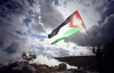 SoukainaNej's profile picture. 