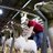 Judge_Livestock's profile image