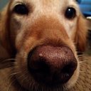 Jay Kohler - @jay_kohler - Twitter