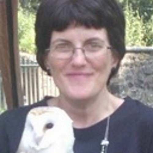 MagGallacher's profile picture. Likes UNISON, loves Arthur, likely to be late!