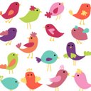 Claire Bird - @MsCBirdsclass - Twitter